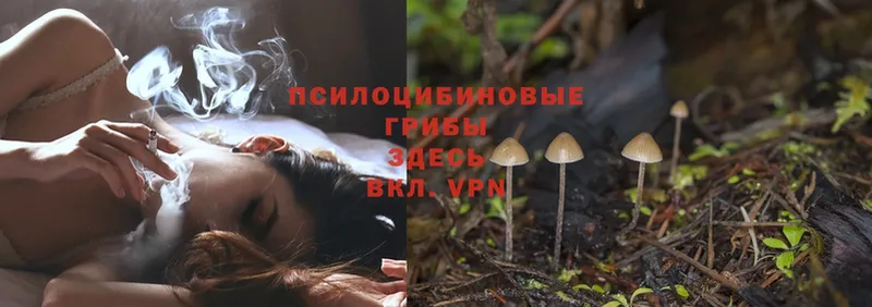 Галлюциногенные грибы Magic Shrooms  Белово 